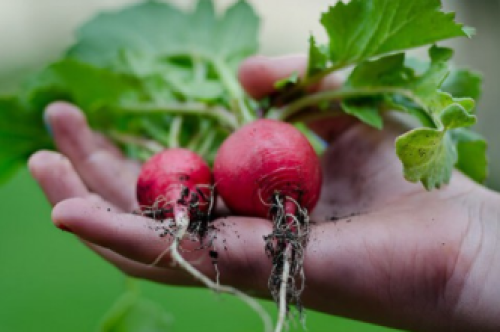 Chính sách vận chuyển